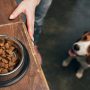 Šunų maistas: kurį geriau pasirinkti