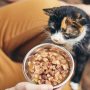 Patarimai kaip išlaikyti katės sveikatą